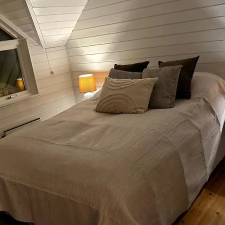 Cozy Little House In *